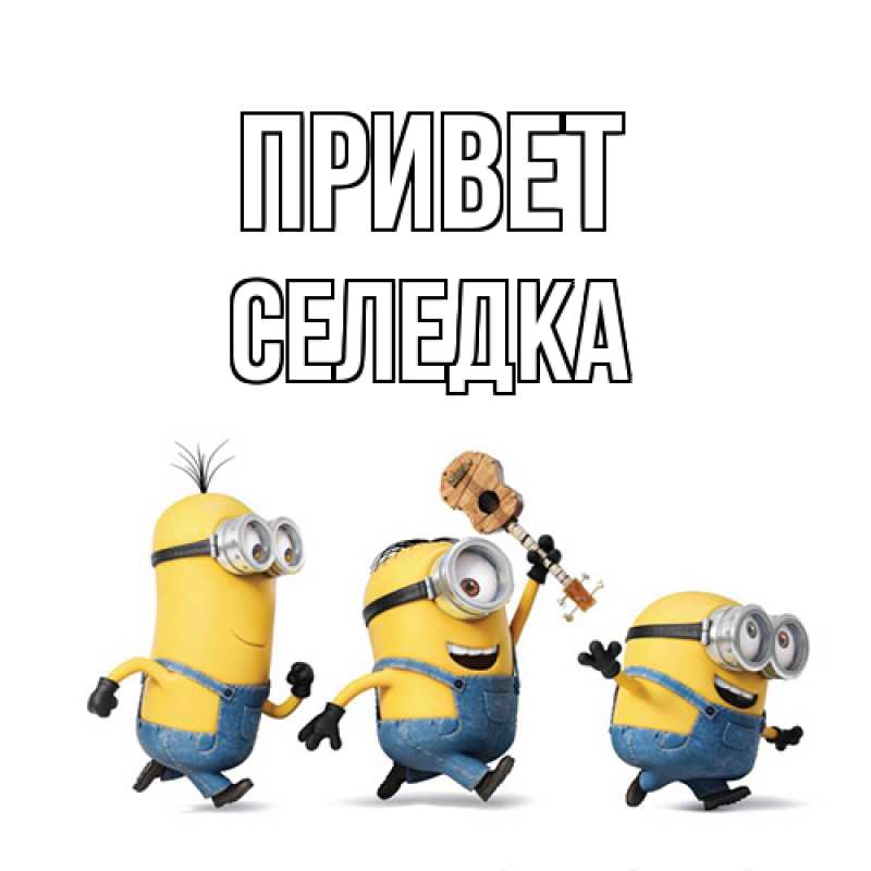 Картинка Привет, Селедка