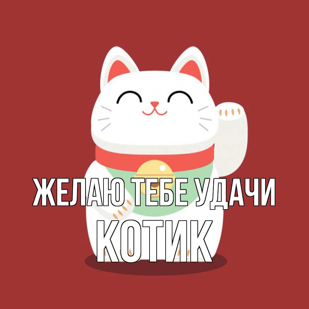 Открытка на каждый день с именем, Котик Желаю тебе удачи игрушка Прикольная открытка с пожеланием онлайн скачать бесплатно 