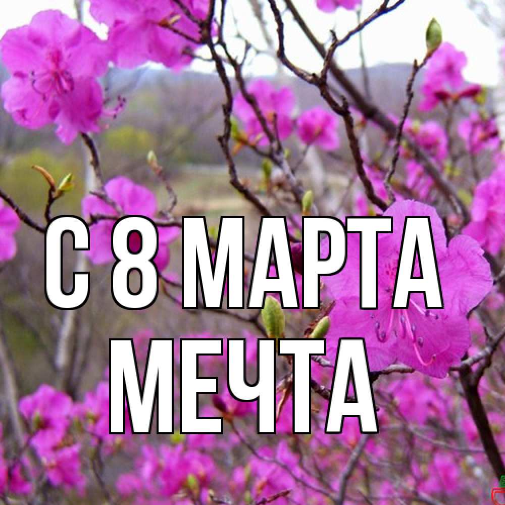 Открытка на каждый день с именем, мечта C 8 МАРТА международный женский день Прикольная открытка с пожеланием онлайн скачать бесплатно 