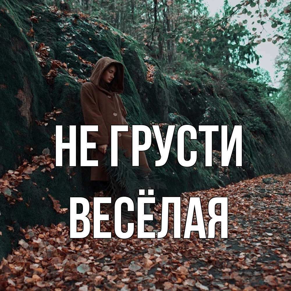 Открытка на каждый день с именем, Весёлая Не грусти осенний лес Прикольная открытка с пожеланием онлайн скачать бесплатно 