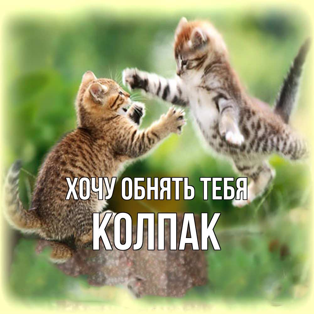 Открытка на каждый день с именем, Колпак Хочу обнять тебя игры котят Прикольная открытка с пожеланием онлайн скачать бесплатно 