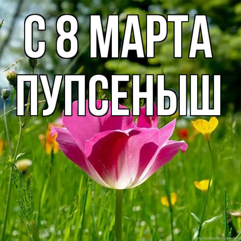 Картинка C 8 МАРТА, пупсеныш