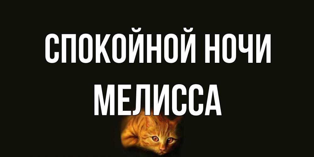 Открытка на каждый день с именем, Мелисса Спокойной ночи кот Прикольная открытка с пожеланием онлайн скачать бесплатно 