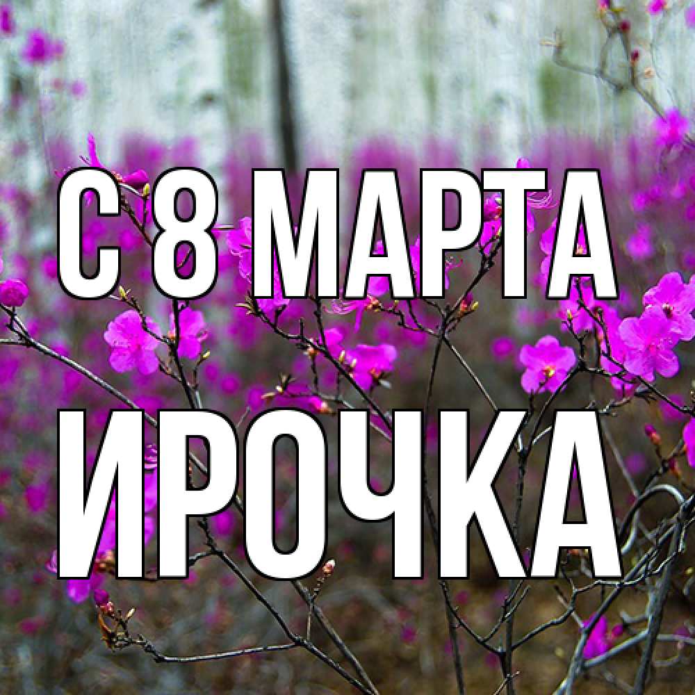 Открытка на каждый день с именем, Ирочка C 8 МАРТА дикие цветы Прикольная открытка с пожеланием онлайн скачать бесплатно 
