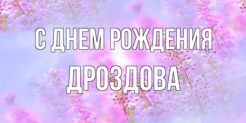 Картинка С днем рождения, Дроздова