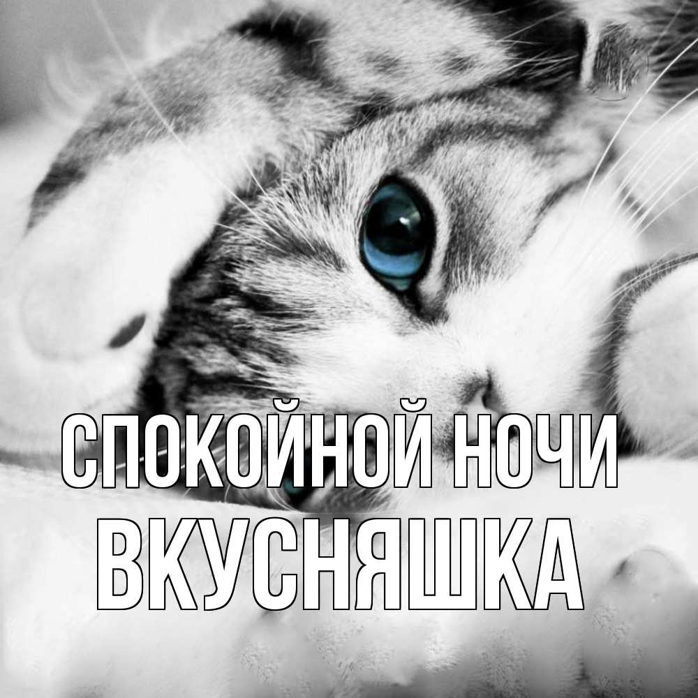 Открытка на каждый день с именем, Вкусняшка Спокойной ночи кот устал Прикольная открытка с пожеланием онлайн скачать бесплатно 