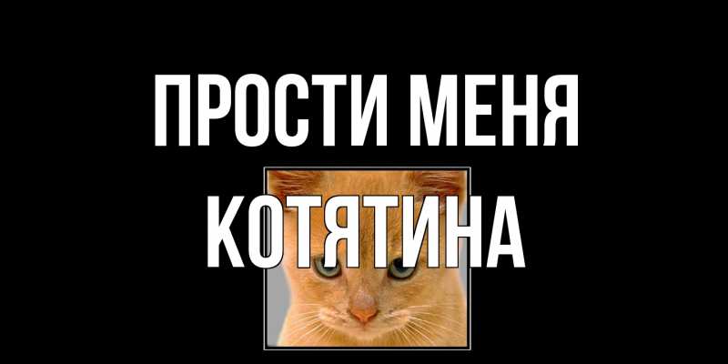 Картинка Прости меня, Котятина