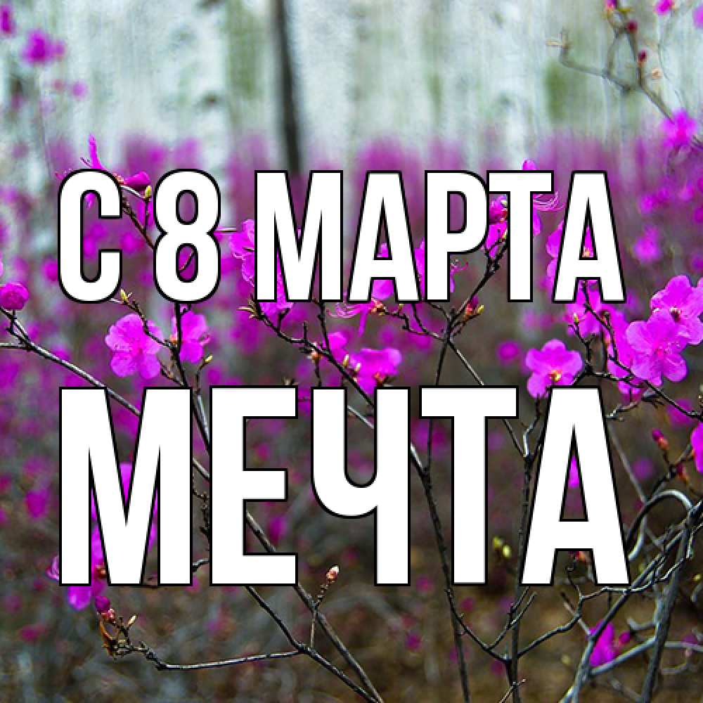 Открытка на каждый день с именем, мечта C 8 МАРТА дикие цветы Прикольная открытка с пожеланием онлайн скачать бесплатно 
