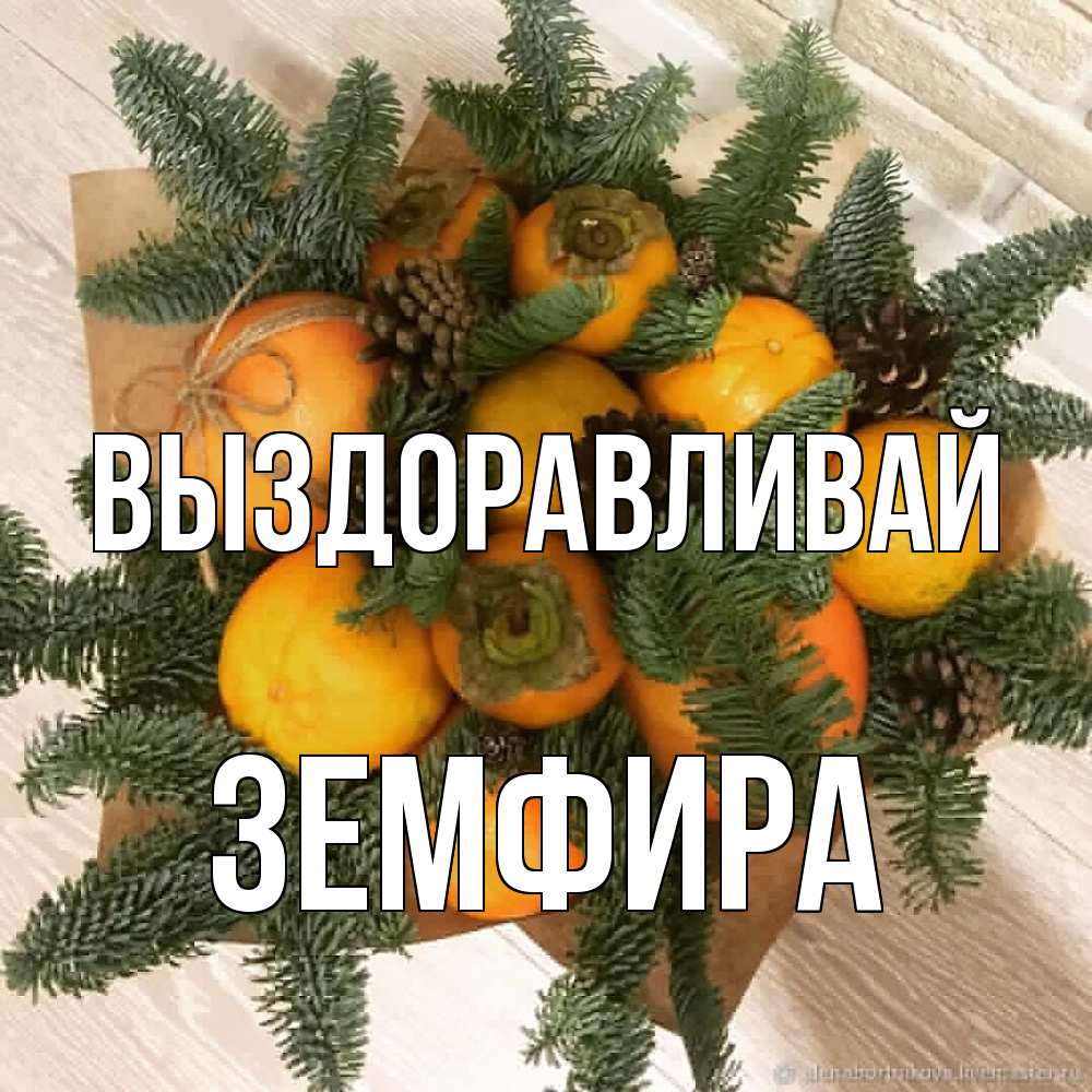 Открытка на каждый день с именем, Земфира Выздоравливай апельсины и хурьма Прикольная открытка с пожеланием онлайн скачать бесплатно 