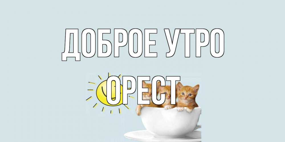 Открытка на каждый день с именем, Орест Доброе утро котята Прикольная открытка с пожеланием онлайн скачать бесплатно 