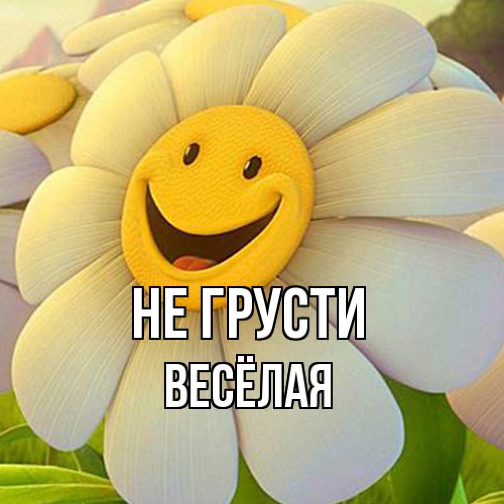 Открытка на каждый день с именем, Весёлая Не грусти огромная улыбающаяся ромашуща Прикольная открытка с пожеланием онлайн скачать бесплатно 