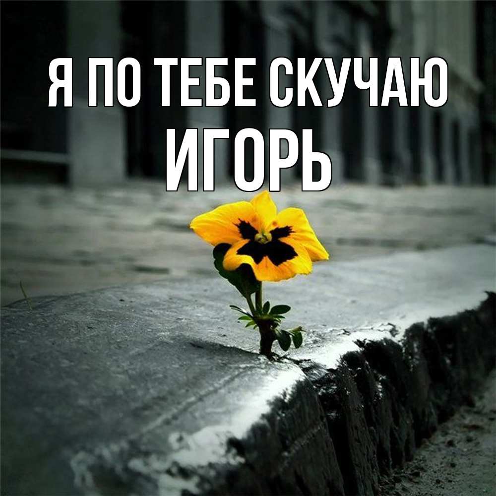 Открытка на каждый день с именем, Игорь Я по тебе скучаю надеюсь будет лучше Прикольная открытка с пожеланием онлайн скачать бесплатно 