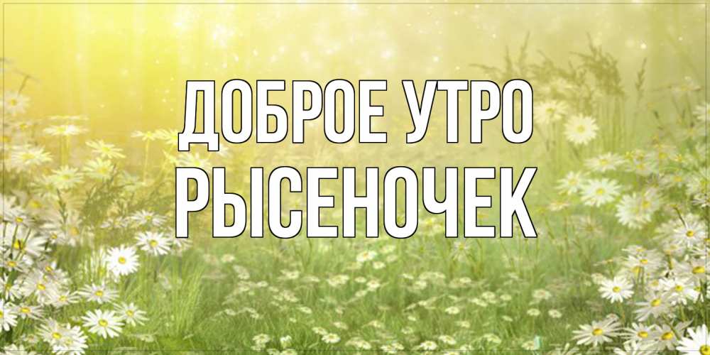 Открытка на каждый день с именем, Рысеночек Доброе утро доброе утро Прикольная открытка с пожеланием онлайн скачать бесплатно 