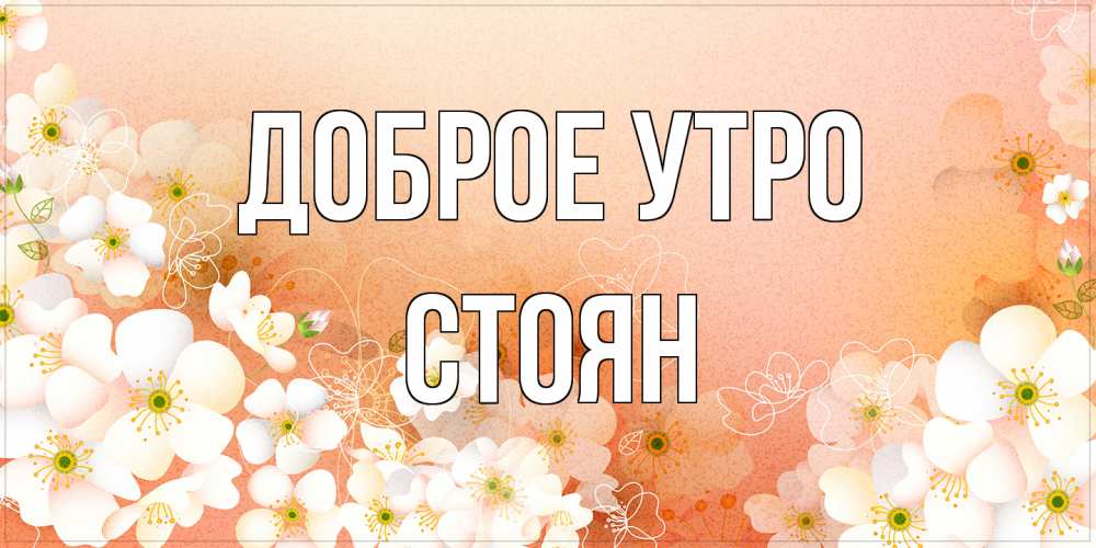 Открытка на каждый день с именем, Стоян Доброе утро доброе утро с цветами Прикольная открытка с пожеланием онлайн скачать бесплатно 