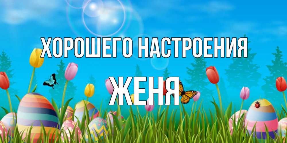 Открытка на каждый день с именем, Женя Хорошего настроения небо и тюльпаны с бабочкой Прикольная открытка с пожеланием онлайн скачать бесплатно 