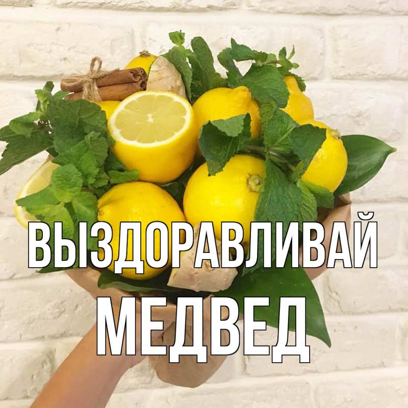 Картинка Выздоравливай, Медвед