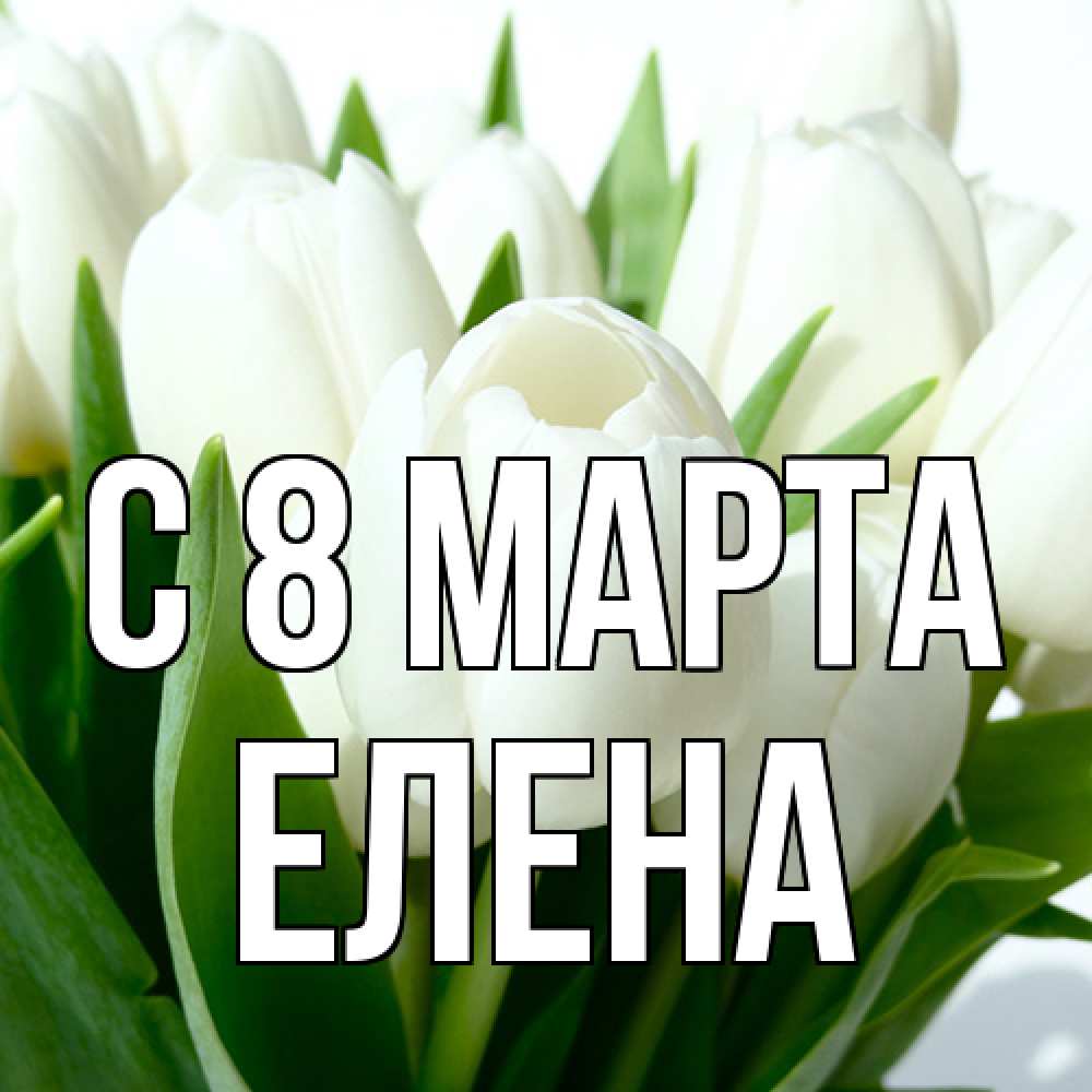 Открытка на каждый день с именем, Елена C 8 МАРТА цветы Прикольная открытка с пожеланием онлайн скачать бесплатно 