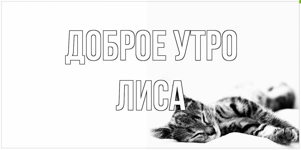 Открытка на каждый день с именем, лиса Доброе утро котуся Прикольная открытка с пожеланием онлайн скачать бесплатно 