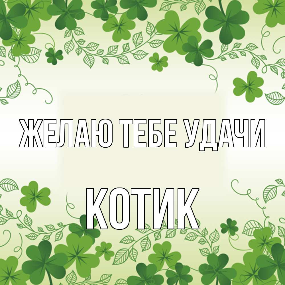 Открытка на каждый день с именем, Котик Желаю тебе удачи открытка Прикольная открытка с пожеланием онлайн скачать бесплатно 
