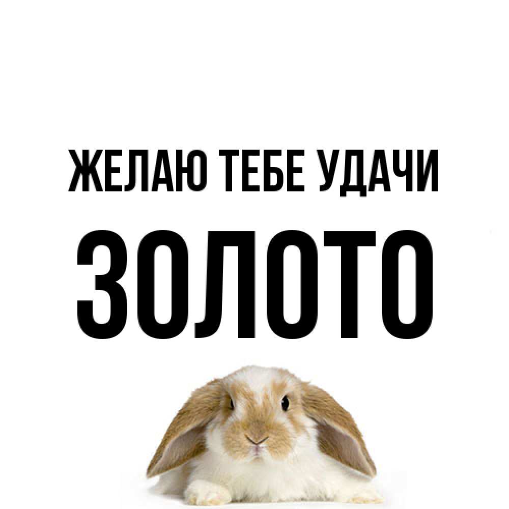 Открытка на каждый день с именем, Золото Желаю тебе удачи открытки с произвольным текстом который можно вставить в открытку и создать ее самостоятельно бесплатно онлайн Прикольная открытка с пожеланием онлайн скачать бесплатно 