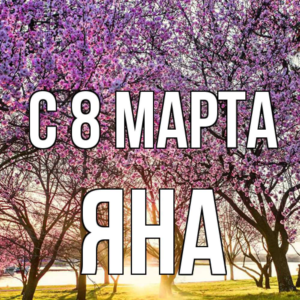 Открытка на каждый день с именем, Яна C 8 МАРТА международный женский день Прикольная открытка с пожеланием онлайн скачать бесплатно 