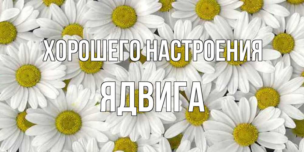 Открытка на каждый день с именем, Ядвига Хорошего настроения поляна ромашек Прикольная открытка с пожеланием онлайн скачать бесплатно 