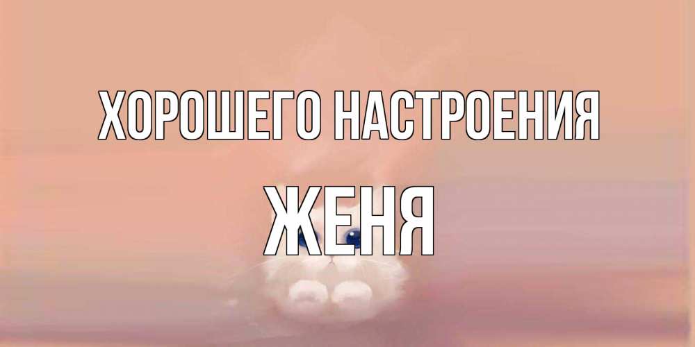 Открытка на каждый день с именем, Женя Хорошего настроения кошка Прикольная открытка с пожеланием онлайн скачать бесплатно 