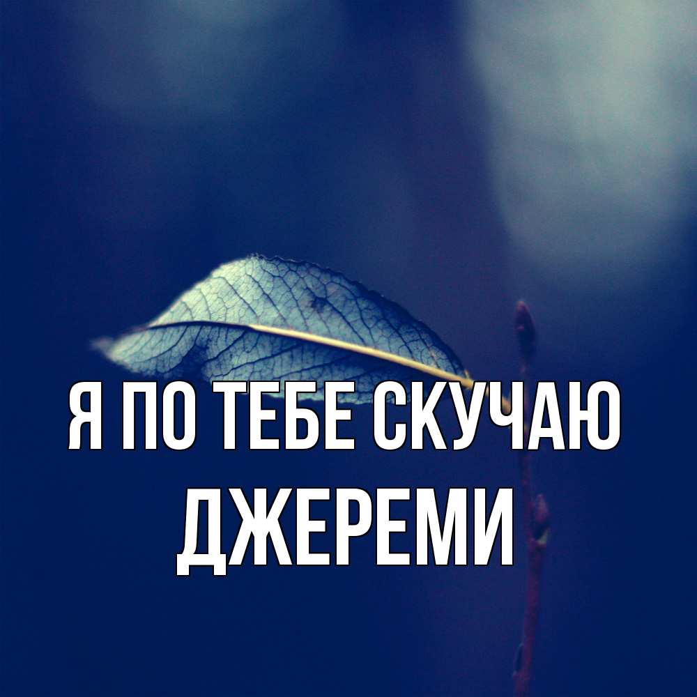 Открытка на каждый день с именем, Джереми Я по тебе скучаю одна ветка 1 Прикольная открытка с пожеланием онлайн скачать бесплатно 