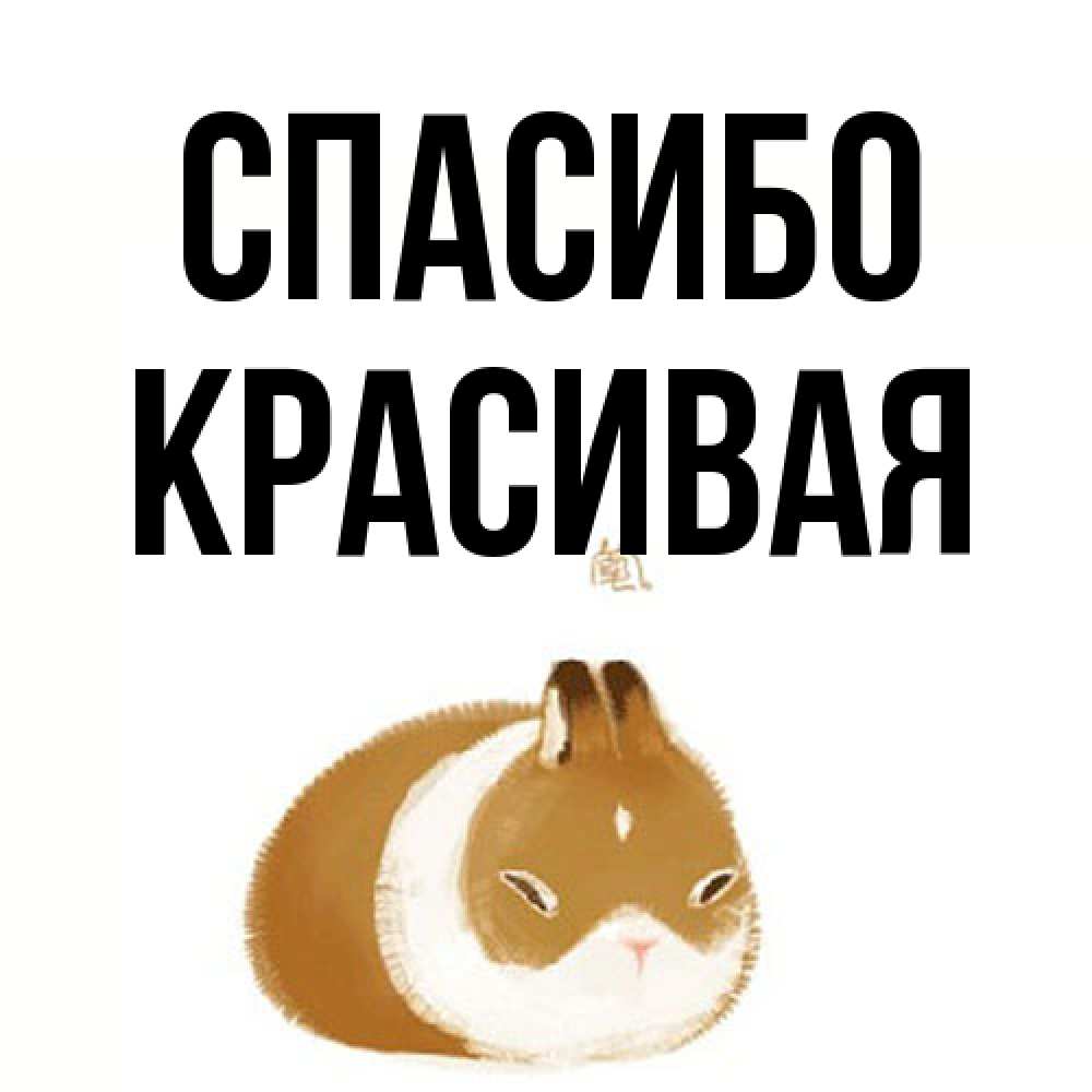 Открытка на каждый день с именем, Красивая Спасибо коричнево белый домашний питомец Прикольная открытка с пожеланием онлайн скачать бесплатно 