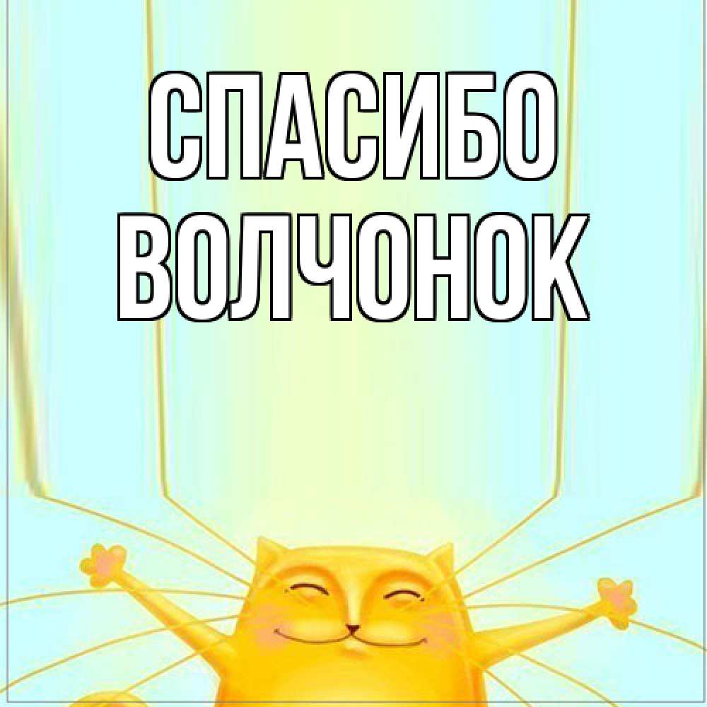Открытка на каждый день с именем, Волчонок Спасибо кот с усами благодарит Прикольная открытка с пожеланием онлайн скачать бесплатно 