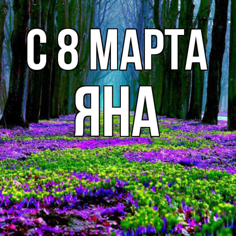 Открытка на каждый день с именем, Яна C 8 МАРТА фиолетовые цветы в лесу 1 Прикольная открытка с пожеланием онлайн скачать бесплатно 