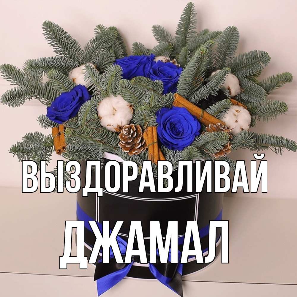 Открытка на каждый день с именем, Джамал Выздоравливай короче кто то загрузил эти шишки Прикольная открытка с пожеланием онлайн скачать бесплатно 