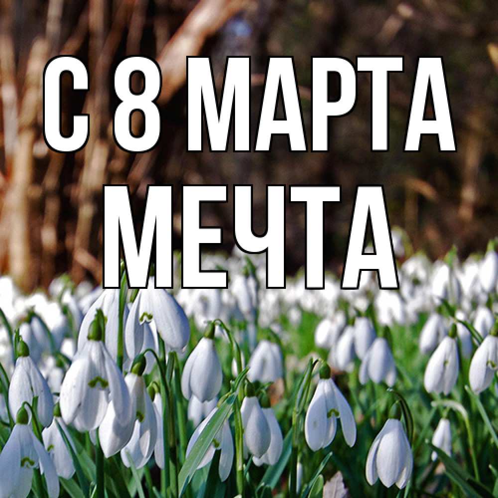 Открытка на каждый день с именем, мечта C 8 МАРТА с подснежниками 1 Прикольная открытка с пожеланием онлайн скачать бесплатно 