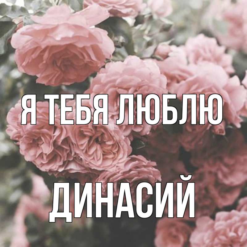 Открытка с именем, Динасий, Я тебя люблю