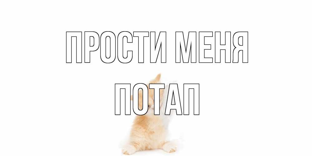 Открытка на каждый день с именем, Потап Прости меня кот Прикольная открытка с пожеланием онлайн скачать бесплатно 