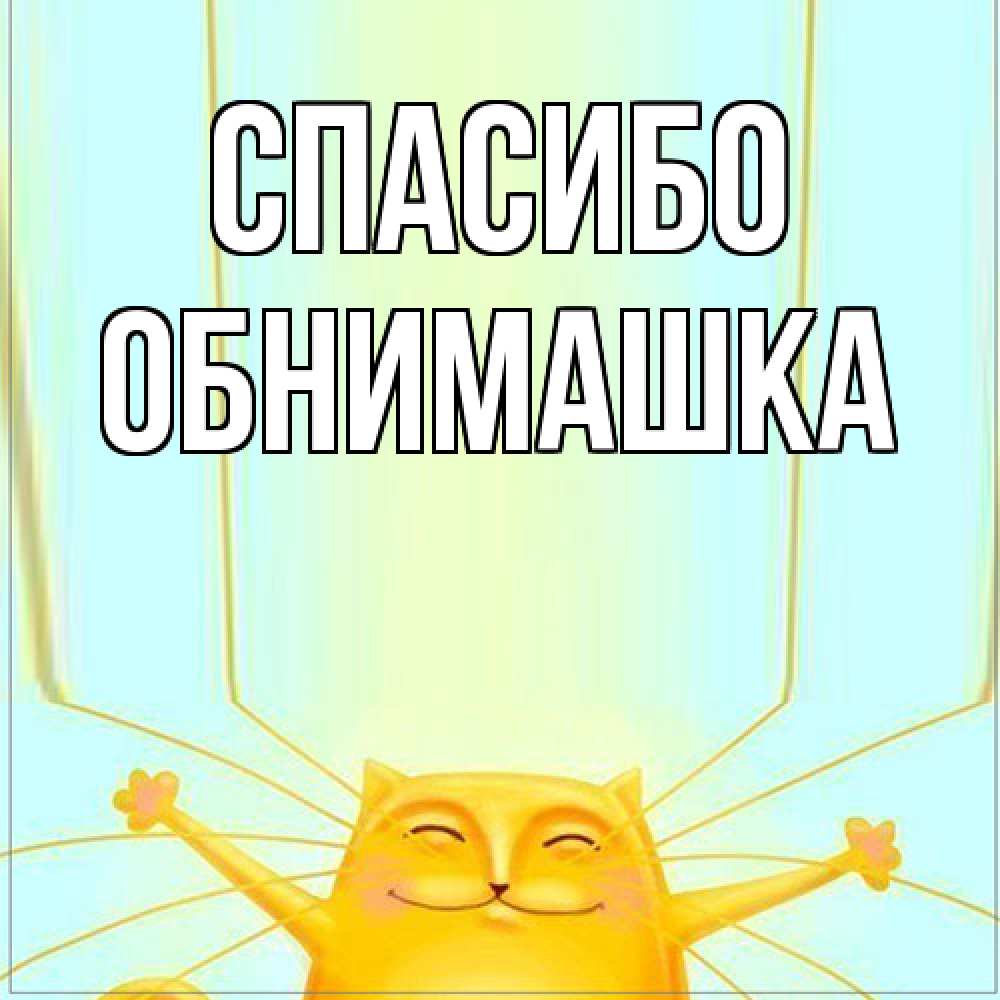 Открытка на каждый день с именем, обнимашка Спасибо кот с усами благодарит Прикольная открытка с пожеланием онлайн скачать бесплатно 