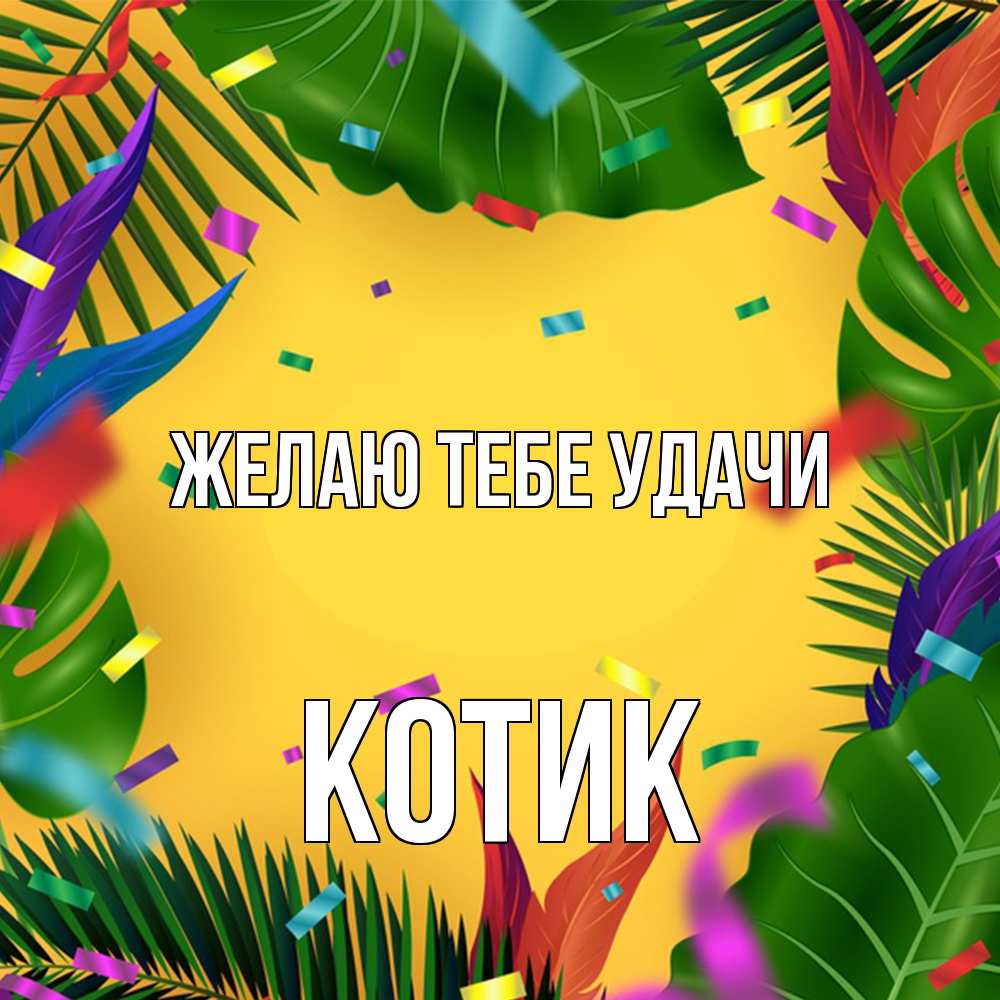 Открытка на каждый день с именем, Котик Желаю тебе удачи тропики Прикольная открытка с пожеланием онлайн скачать бесплатно 