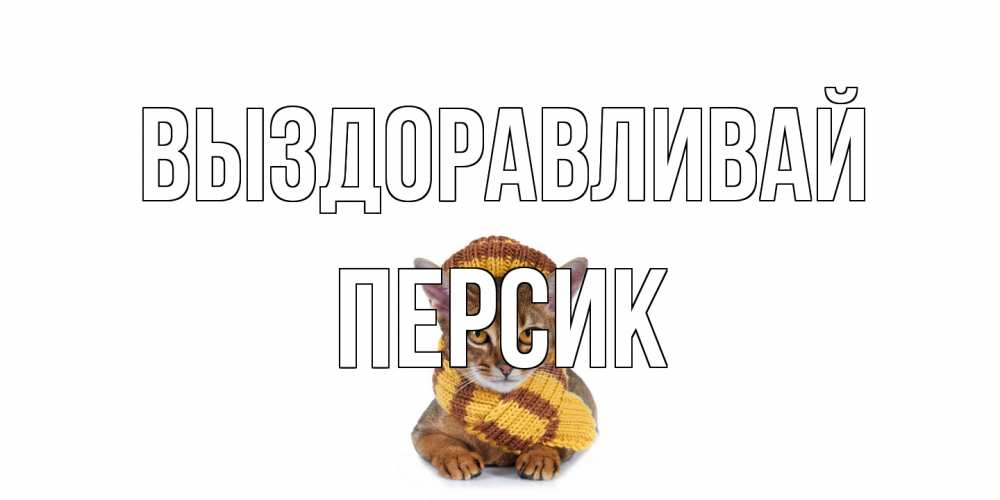 Открытка на каждый день с именем, Персик Выздоравливай родные не болейте Прикольная открытка с пожеланием онлайн скачать бесплатно 