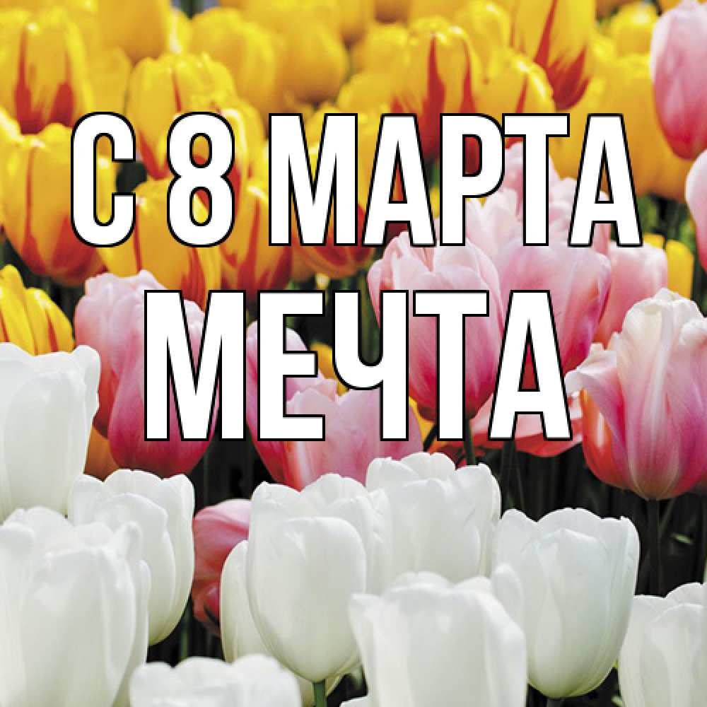 Открытка на каждый день с именем, мечта C 8 МАРТА разноцветные цветы Прикольная открытка с пожеланием онлайн скачать бесплатно 