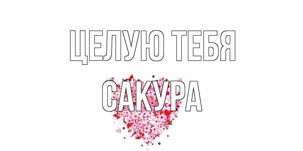 Открытка на каждый день с именем, Сакура Целую тебя сердце Прикольная открытка с пожеланием онлайн скачать бесплатно 