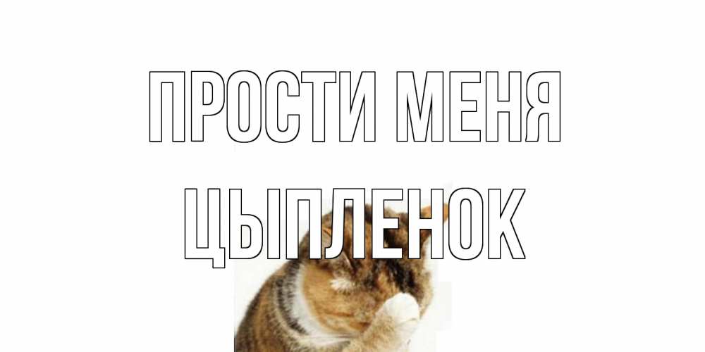 Открытка на каждый день с именем, Цыпленок Прости меня кот Прикольная открытка с пожеланием онлайн скачать бесплатно 