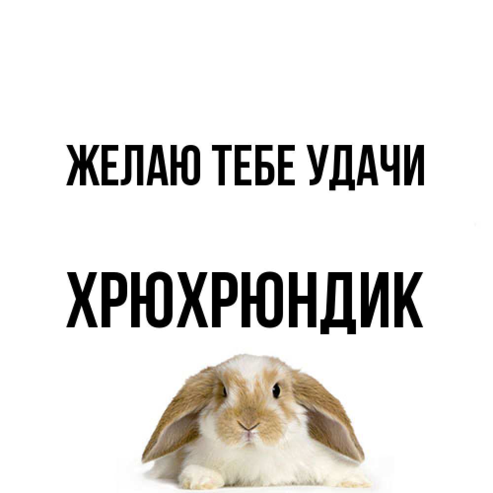 Открытка на каждый день с именем, Хрюхрюндик Желаю тебе удачи открытки с произвольным текстом который можно вставить в открытку и создать ее самостоятельно бесплатно онлайн Прикольная открытка с пожеланием онлайн скачать бесплатно 