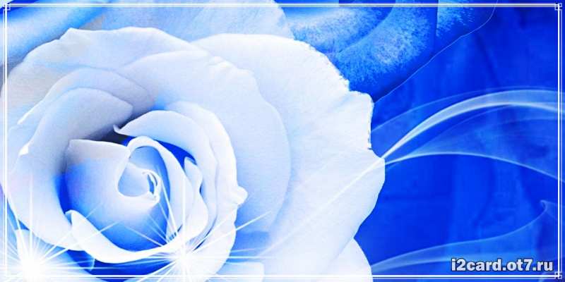 Картинка С днем рождения, Дроздова