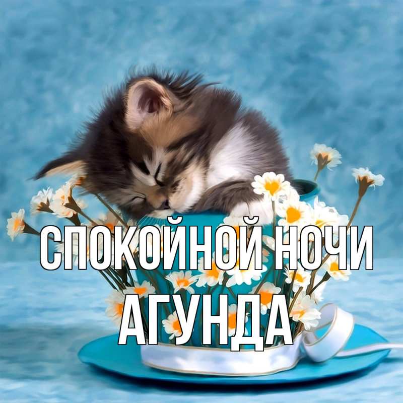 Картинка Спокойной ночи, Агунда