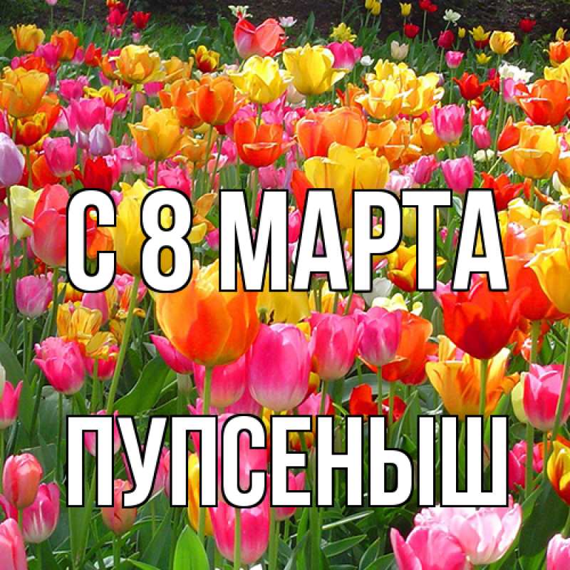 Картинка C 8 МАРТА, пупсеныш