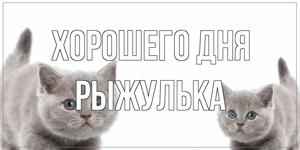 Открытка на каждый день с именем, рыжулька Хорошего дня открытка с котами Прикольная открытка с пожеланием онлайн скачать бесплатно 