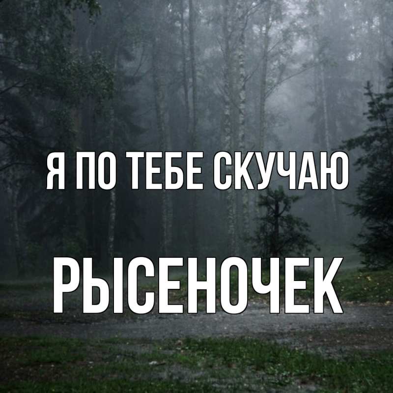 Картинка Я по тебе скучаю, Рысеночек