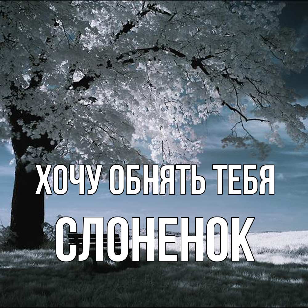 Открытка на каждый день с именем, Слоненок Хочу обнять тебя дерево Прикольная открытка с пожеланием онлайн скачать бесплатно 