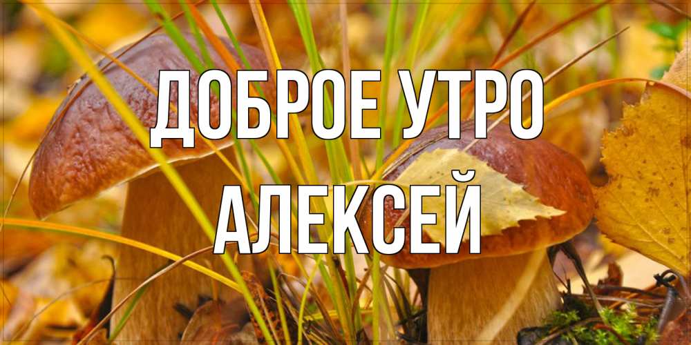 Открытка на каждый день с именем, Алексей Доброе утро осенние грибы Прикольная открытка с пожеланием онлайн скачать бесплатно 