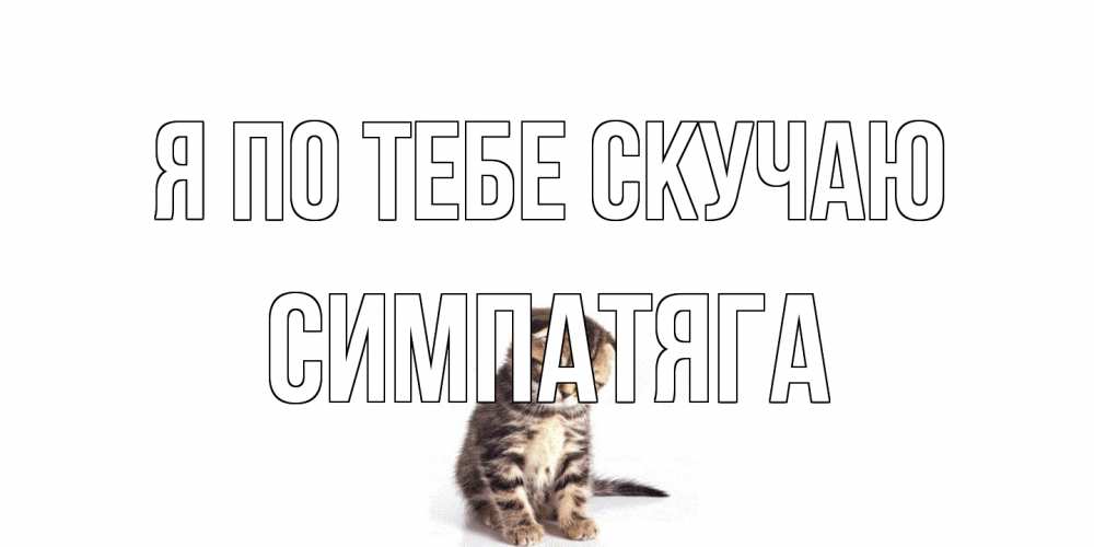 Открытка на каждый день с именем, Симпатяга Я по тебе скучаю кот Прикольная открытка с пожеланием онлайн скачать бесплатно 